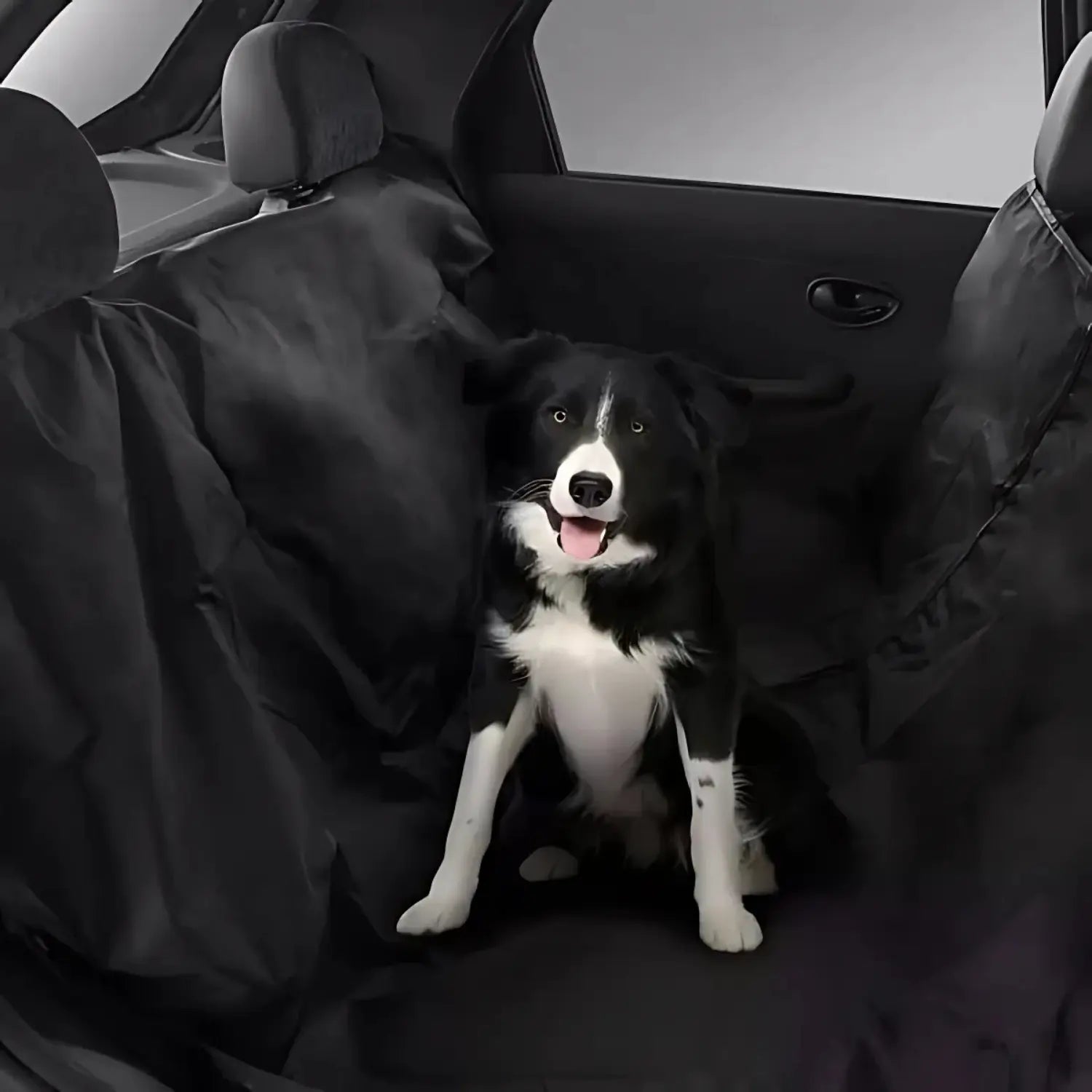 A imagem mostra um cachorro da raça Border Collie sentado no banco traseiro de um carro, onde o banco está coberto por uma capa preta. O cachorro parece calmo e com uma expressão amigável, com a língua de fora e os olhos atentos, em um ambiente aparentemente confortável e protegido.