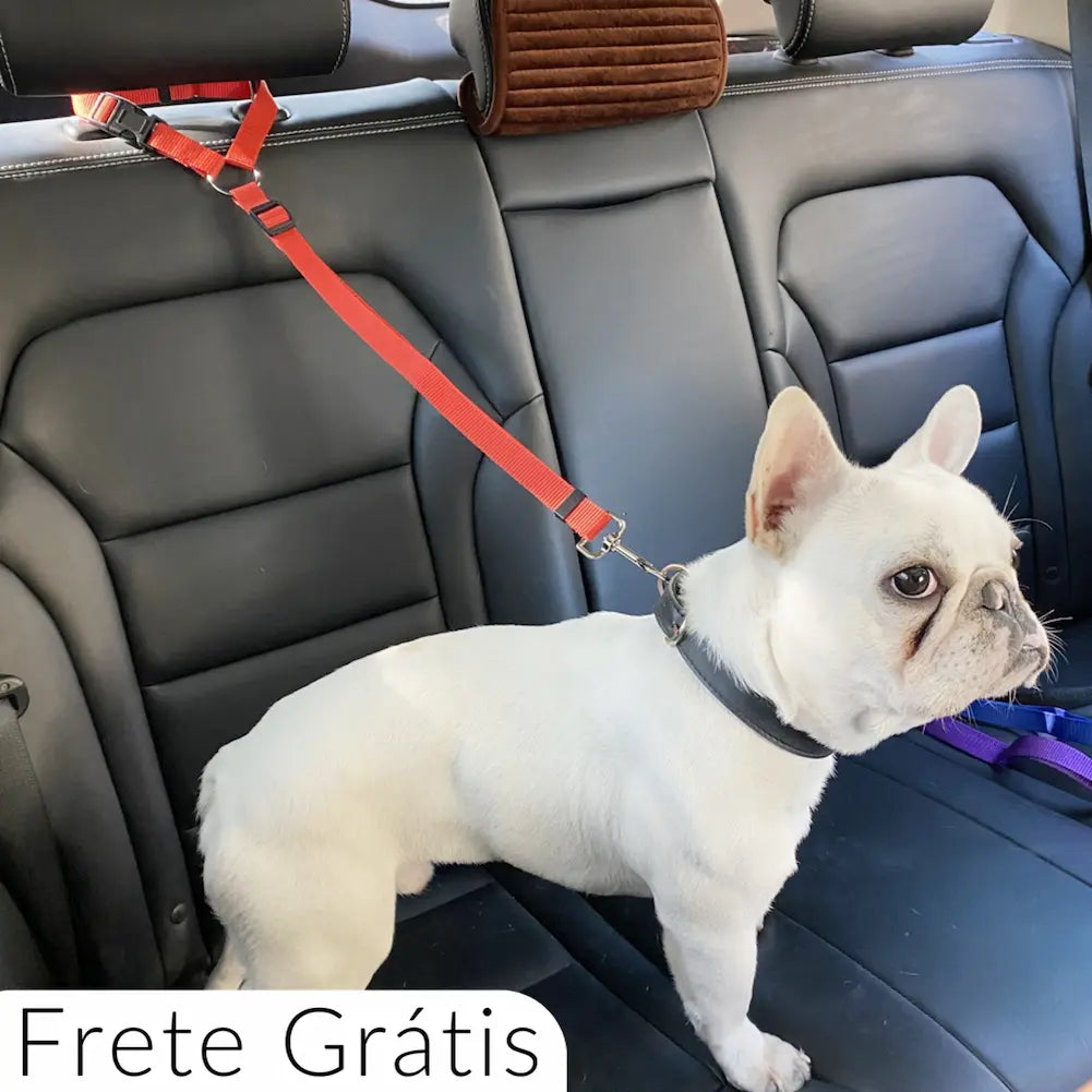 A imagem mostra um cachorro da raça Bulldog Francês, branco, sentado no banco traseiro de um carro. Ele está preso a um cinto de segurança para pets, na cor vermelha, que está conectado ao encosto do banco. O acessório garante segurança durante o transporte do animal.